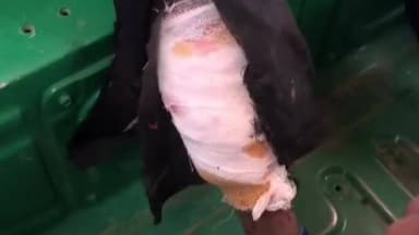 कहलगांव: आनादीपुर पानी टंकी के पास मैजिक ऑटो और बाइक की टक्कर, अनुमंडल अस्पताल कहलगांव में इलाज जारी