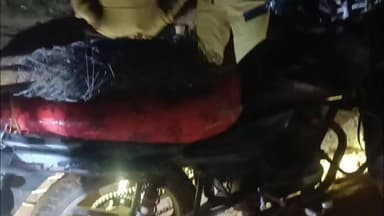 सिमरिया: जमुनहा वीट में शिकारियों ने बिछाया था मौत का जाल, वन विभाग ने एक को पकड़कर किया 'गेम ओवर'