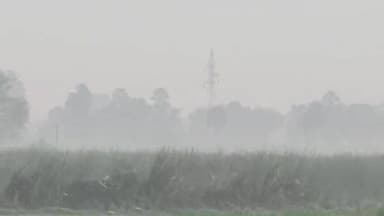 திருவண்ணாமலை: வேங்கிக்கால் மாலை 5 மணிக்கு பனிமூட்டம் அதிகமாக காணப்பட்டதால் பொதுமக்களின் இயல்பு வாழ்க்கை பாதிப்பு