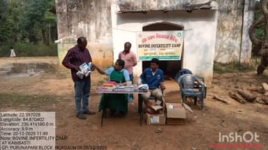 ବୀରମିତ୍ରପୁର: ନୂଆଗାଁ ବ୍ଲକର ହାତୀବାରି ସରକାରୀ ପ୍ରାଣୀ ଚିକିତ୍ସାଳୟ ଅନ୍ତର୍ଗତ କବିବସ୍ତିଠାରେ ଗୋ ବନ୍ଧ୍ୟା ନିରାକରଣ ଶିବିର ଅନୁଷ୍ଠିତ