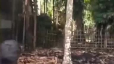 হলদিবাড়ি: জমি সংক্রান্ত শরিকি বিবাদের জেড়ে আগুন দিয়ে বাড়িঘর পুরিয়ে দেওয়ার অভিযোগ হলদিবাড়িতে