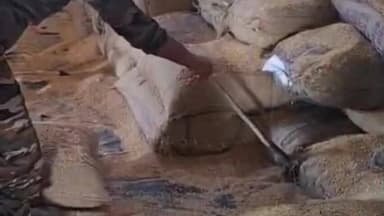 नरवर: सिंध नदी पुल के पास गोदाम में निकला काला नाग, लोगों में अफरा-तफरी, सर्प मित्र ने किया रेस्क्यू