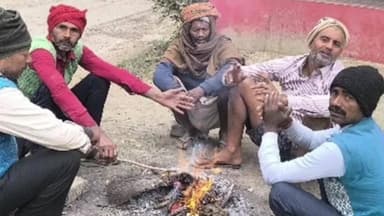 मंसूरचक: प्रखंड क्षेत्र में घने कोहरे और शीत लहर से जनजीवन अस्त-व्यस्त