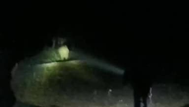 टुंडी: टुंडी में हाथियों का उत्पात, दो घर क्षतिग्रस्त, मशालचियों ने झुंड को खदेड़ा