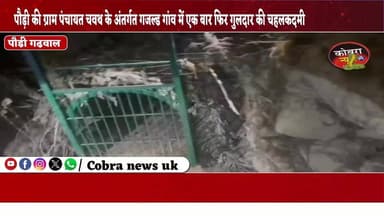 #पौड़ी :-गजल्ड गांव में गुलदार की चहल कदमी देखे जाने से ग्रामीणों में खौफ, ग्राम प्रधान ने सुरक्षा व्यवस्था बढ़ाने की उठा...
