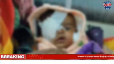 पन्ना में सियार बना रहा नोनिहलो को निशाना; घाट सिमरिया के बाद अब अजयगढ के भापतपुर में खेत मे सो रहे 3 माह के मासूम पर खू...