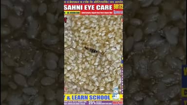 यदि आप भी ऑनलाइन खाना मंगवाकर खाने के है शौकीन, तो हो जाए सावधान #onlineshop #onlinebusiness #food #