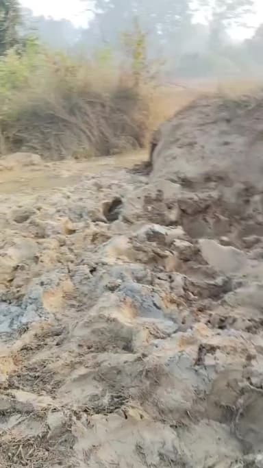 लैलूंगा: रायगढ़ वनांचल में हाथी के शावक की दर्दनाक मौत, तालाब किनारे मिला शव, वन विभाग जांच में जुटा