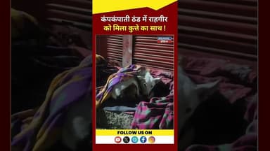 कपकपाती ठंड में राहगीर को मिला कुत्ते का साथ !#latestnews