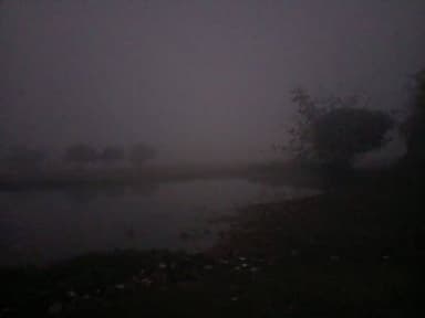 सीमावर्ती क्षेत्र में कराके की ठंड से जनजीवन अस्त-व्यस्त, ठंडी नदी और पछुआ हवा ने बढ़ाई परेशानी
टेढ़ागाछ सीमावर्ती क्षेत...