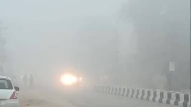 चिड़ावा: चिड़ावा क्षेत्र में सीजन के पहले घने कोहरे से थमी रफ्तार, सड़कों पर रेंगते नजर आए वाहन