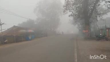 ଚମ୍ପୁଆ: ଚମ୍ପୁଆ ରେ ଘନ କୁହୁଡି ଜନ ଜିବନ ଅସ୍ତବ୍ୟସ୍ତ