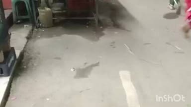 ददाहू: रेणुका जी के ददाहू में लोक निर्माण विभाग की सड़क पर अवैध कब्जा बढ़ता हुआ जा रहा है