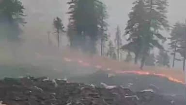 निचार: किन्नौर के काचरंग के जंगलों में भड़की आग, ग्रामीण आग बुझाने का कर रहे प्रयास