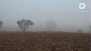 कर्रा: जरियागढ़ में घना कुहासा छाया, जनजीवन हुआ प्रभावित