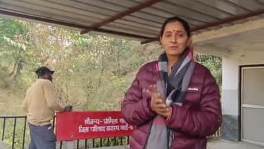 घुमारवीं: जिला परिषद सदस्य प्रोमिला बसु ने अपनी निधि से क्षेत्र के सार्वजनिक स्थानों पर लोगों की सुविधा के लिए बेंच लगवाई