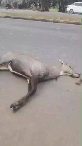 SAHSON Phulpur Road Singhania dhaba sarkari tubewell