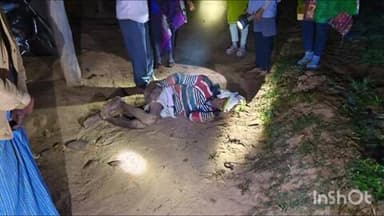 वाड्रफनगर: हाथी से आमना-सामना: ग्रामीण जान बचाते हुए भागा, गिरकर गंभीर घायल