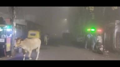 इटावा: घने कोहरे की चादर ने पूरे शहर को ढका, सर्दी के कारण लोग घरों में हुए कैद, दृश्यता हुई जीरो