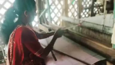 ભેસાણ: ભેંસાણના રીંકલબેન પન્ના બન્યા લખપતિ દીદી, હાથસાળ દ્વારા ખાદી, હેન્ડલુમ ઉત્પાદન તૈયાર કરી રીંકલબેન આત્મનિર્ભર બન્યા