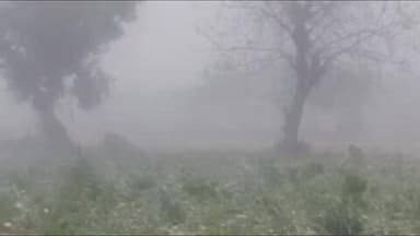 खुर्जा: खुर्जा में शीतलहर और गलाव की ठंड से जनजीवन ठिठुर गया, हाईवे पर घने कोहरे ने वाहनों की गति पर लगाया ब्रेक, दृश्यता शून्य