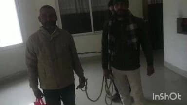 मोहिउद्दीननगर: मोहिउद्दीनगर पुलिस ने धोखाधड़ी के मामले में फरार अभियुक्त को समस्तीपुर से गिरफ्तार कर न्यायिक हिरासत में भेजा