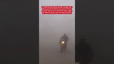 सतना में घने कोहरे की वजह से दृश्यता शून्य मीटर तक पहुंच गई है,#viralvideo#मौसम #ठंड #कोहरा