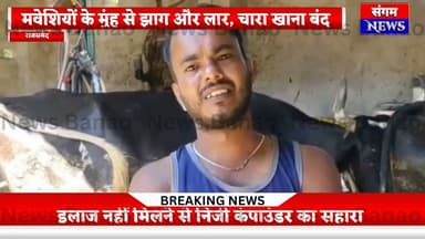 राम भरोसे पशुचिकित्सा! राजसमन्द के झोर–बागपुरा में खुरपका–मुंहपका का तांडव, मवेशी बेहाल