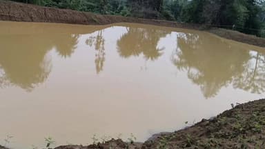 बालाघाट: मनरेगा की कपिलधारा योजना से ग्राम पंचायत हरदौली के किसान की किस्मत बदली, मीनाक्षी तालाब बना आय का साधन