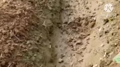 সীমলাপাল: আলু জমিতে অজানা পায়ের ছাপ ,বাঘ এর আতঙ্কে চাঞ্চল্য ছড়ালো রায়বাঁধ গ্রাম ঘটনাস্থলে বনদফতরের কর্মীরা