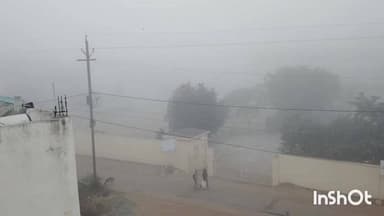 कटनी नगर: कोहरे से ढका शहर, दृश्यता कम, सुबह 9:30 तक घना कोहरा छाया रहा, यात्री ट्रेनें प्रभावित