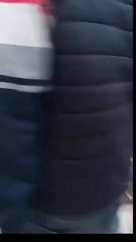 कोडरमा: बाघीताड़ के होटल में जंगल से भटका हिरण, होटल कर्मियों ने पकड़कर वनकर्मी को सौंपा