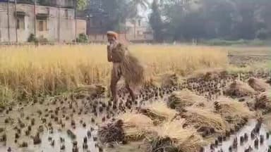 ଭୋଗରାଇ: ଦକ୍ଷିଣ ଭୋଗରାଇରେ ଲାଗିରହିଛି ପାଣି ନିଷ୍କାସନ ସମସ୍ୟା ,ସାହାବାଜିପୁର ଠାରେ ପ୍ରତିକ୍ରିୟା ରଖି ସମାଧାନ ପାଇଁ ଦାବି କଲେ ସରପଞ୍ଚ