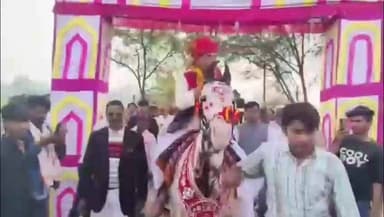 सपोटरा: नवीन ग्राम पंचायत काछीपुरा में विधायक हंसराज मीना का घोड़ी पर बैठा कर लोगों ने किया भव्य स्वागत