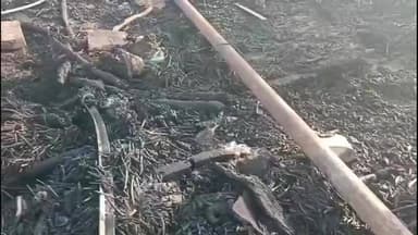 नोखा: अनखीसर गांव में ढाणी और पशुबाड़े में लगी आग, गाय सहित चार बकरियां जिंदा जल गईं