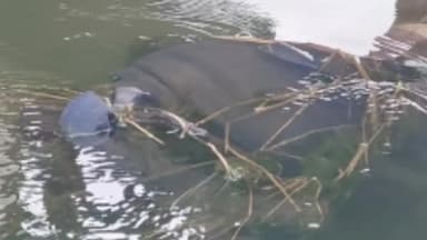 नैनवां: नहर में तैरती मिली युवक की लाश, शिनाख्त के बाद पोस्टमार्टम कर शव परिजनों को सौंपा गया