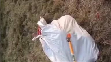 खुर्जा: नेमताबाद बिजलीपुर गांव में मिला विशाल अजगर, वन विभाग ने किया रेस्क्यू