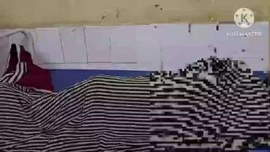 संभल: कैला देवी रोड पर कुत्ते से टकराई बाइक, बाइक सवार युवक हुआ घायल, अस्पताल में कराया भर्ती, पुलिस को दी सूचना