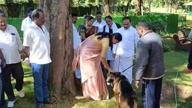 உதகமண்டலம்: தமிழகத்தில் முதன்முதலாக உதகையில் வளர்ப்பு நாய் பூங்கா