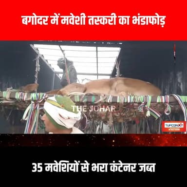 बगोदर में मवेशी तस्करी का भंडाफोड़, 35 मवेशियों से भरा कंटेनर जब्त
#GiridihCity #giridih_jharkhand #GiridihNews #Giridi...