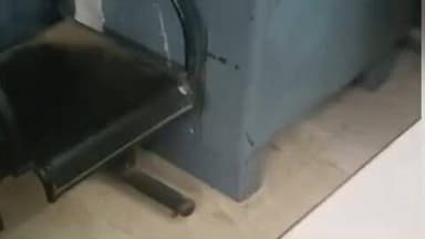 अनूपपुर: जमुना कॉलरी: पालतू बिल्ली को बचाने पर विवाद, दो बहनों से मारपीट, पत्थर लगने से महिला घायल