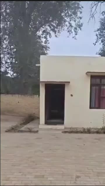 सिरसा: सीआईए डबवाली प्रभारी के अनुसार, NH-9 पर कार सवार युवक 2 लाख 95 हजार नशीली गोलियों के साथ काबू