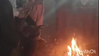 रानीश्वर: जिले में ठंड का प्रकोप: कोहरे और शीतलहर से जनजीवन प्रभावित, प्रशासन ने अलाव की व्यवस्था नहीं की