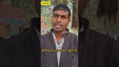 गेहूं के खेत में केमिकल डाल देने के कारण फसल नहीं हुई मौत तहसील में दिया शिकायती पत्र #खबर #जानकारी