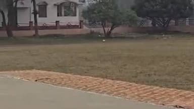 तमकुही राज: कुशीनगर में प्रशासन एकादश ने पत्रकार एकादश को दो विकेट से हराकर आख़िरी ओवर तक थमा रहा रोमांच