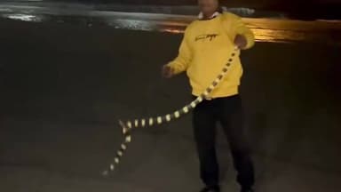 बेरमो: बोकारो थर्मल पावर प्लांट के पास अहिराज सांप दिखने से लोगों में दहशत, जहरीले सांप से सुरक्षित रहने की अपील