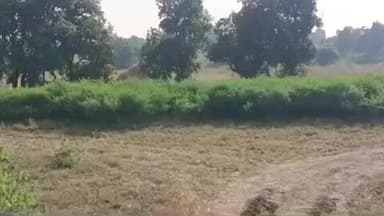 बांधवगढ़: उमरिया जिले में भीषण ठंड का प्रकोप, किसानों को पाला, कोहरा और बर्फबारी की चिंता