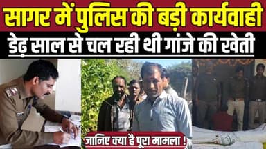 सागर में पुलिस की बड़ी कार्यवाही, डेढ़ साल से चल रही थी गांजे की खेती !
#SagarNews #SagarNews #JaiseNagar #PoliceAction...