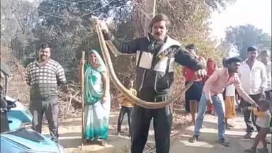 बरही: बरही के छिंदिया टोला में घर से निकला रसल वाइपर सांप, सर्प विशेषज्ञ ने किया रेस्क्यू