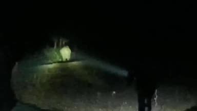 टुंडी: कोलहर के खरियोटांड़ में हाथियों का झुंड पहुंचने से गांव में दहशत